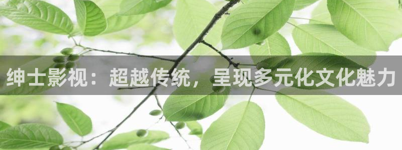 大地影院wifi密码：绅士影视：超越传统，呈现多元化文化魅力