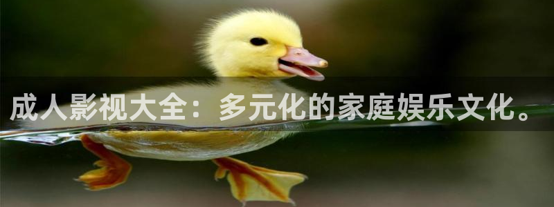 云浮大地影院：成人影视大全：多元化的家庭娱乐文化。