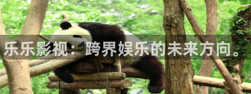 大地影院免费在线观看：乐乐影视：跨界娱乐的未来方向。
