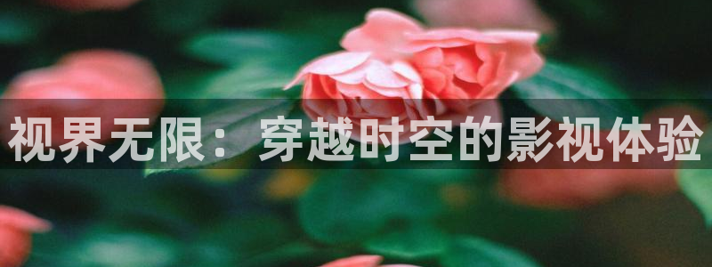 大地影院影视：视界无限：穿越时空的影视体验