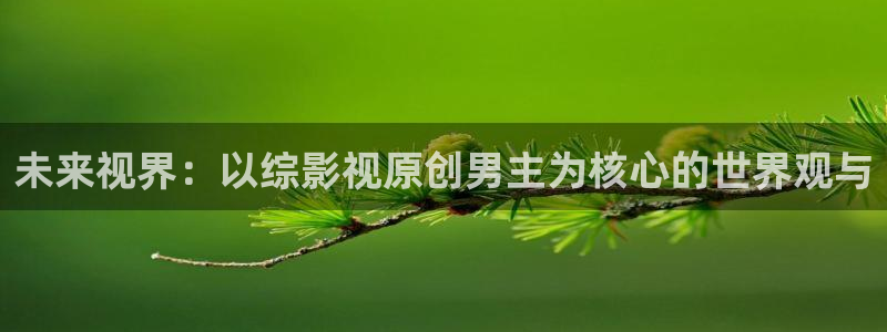 梧州大地数字影院：未来视界：以综影视原创男主为核心的世界观与