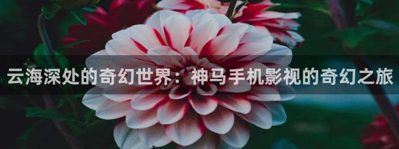 临泉大地影城今日放映表：云海深处的奇幻世界：神马手机影视的奇幻之旅