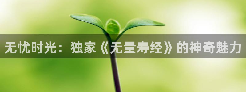 大地影院酒店：无忧时光：独家《无量寿经》的神奇魅力
