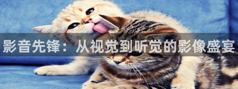 大地资源影视在线播放播放：影音先锋：从视觉到听觉的影像盛宴