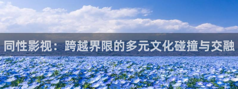 大地影院手机高清免费观看：同性影视：跨越界限的多元文化碰撞与交融