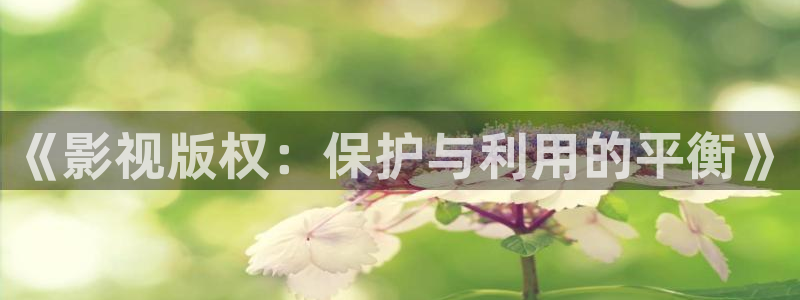 大地影院股票：《影视版权：保护与利用的平衡》