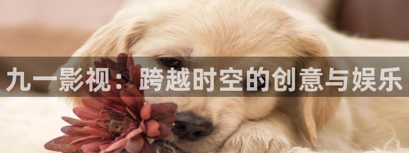 阜阳大地影院影讯：九一影视：跨越时空的创意与娱乐