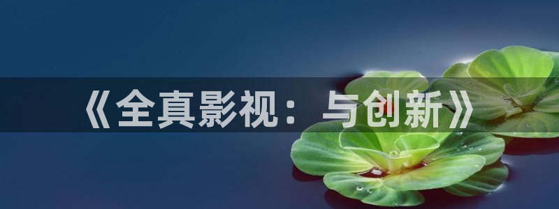 大地影院高清在线观看免费：《全真影视：与创新》