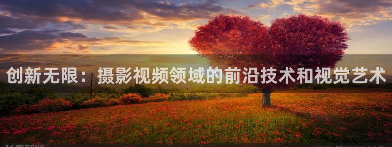合肥大地影院港澳广场：创新无限：摄影视频领域的前沿技术和视觉艺术